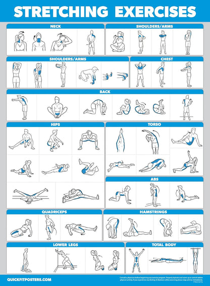 4 Pack - Yoga Block Poses + Pilates Exercise + Yoga Poses Positions + Stretching Posters - Set of Four Fitness Charts