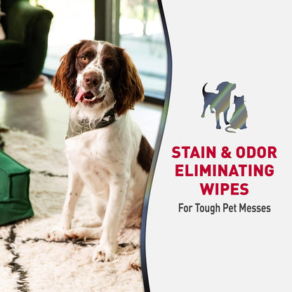Nature’s Miracle Advanced Stain and Odor Eliminator Dog Spray, Fresh Scent, Severe Mess Enzymatic Formula For Tough Pet Messes, 32 oz