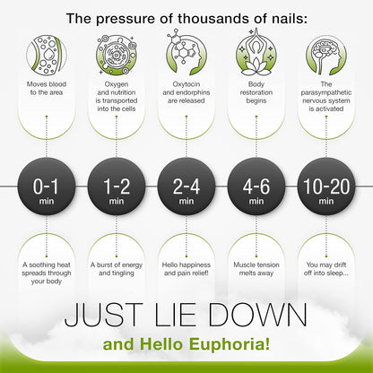 Bed of Nails Acupressure Pillow – Original Bon Acupressure Design with 2142 Precision Nails, 15 x 6 x 4", Black