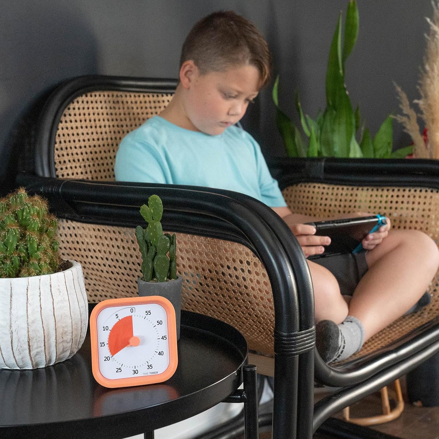 TIME TIMER Home MOD – 60-Minute Visual Timer, Home Edition, Silent Operation, for Homeschool Supplies, Study, Office & Meetings (Fern Green)