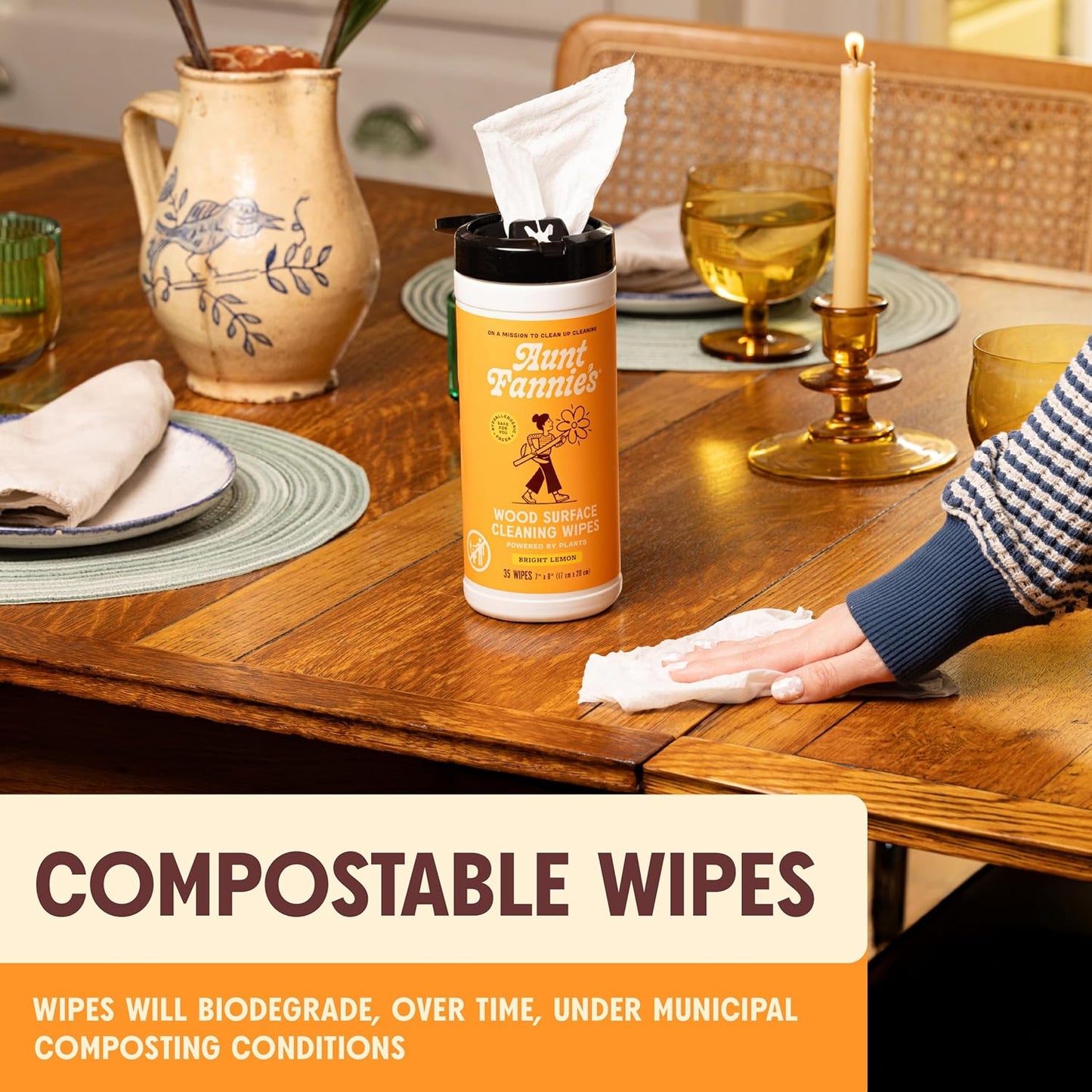 Aunt Fannie's Natural Cleaning Vinegar Wipes, Multipurpose Surface Cleaner, Eucalyptus Scent, 35 Count (Pack of 1)