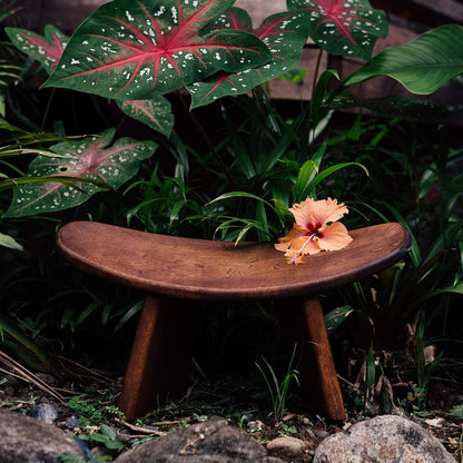 Meditation Bench IKUKO Basic, Preassembled Version, Solid Wood, Locally Handmade Eco Friendly Wooden Kneeling Ergonomic Seiza Seat, Prana Yoga