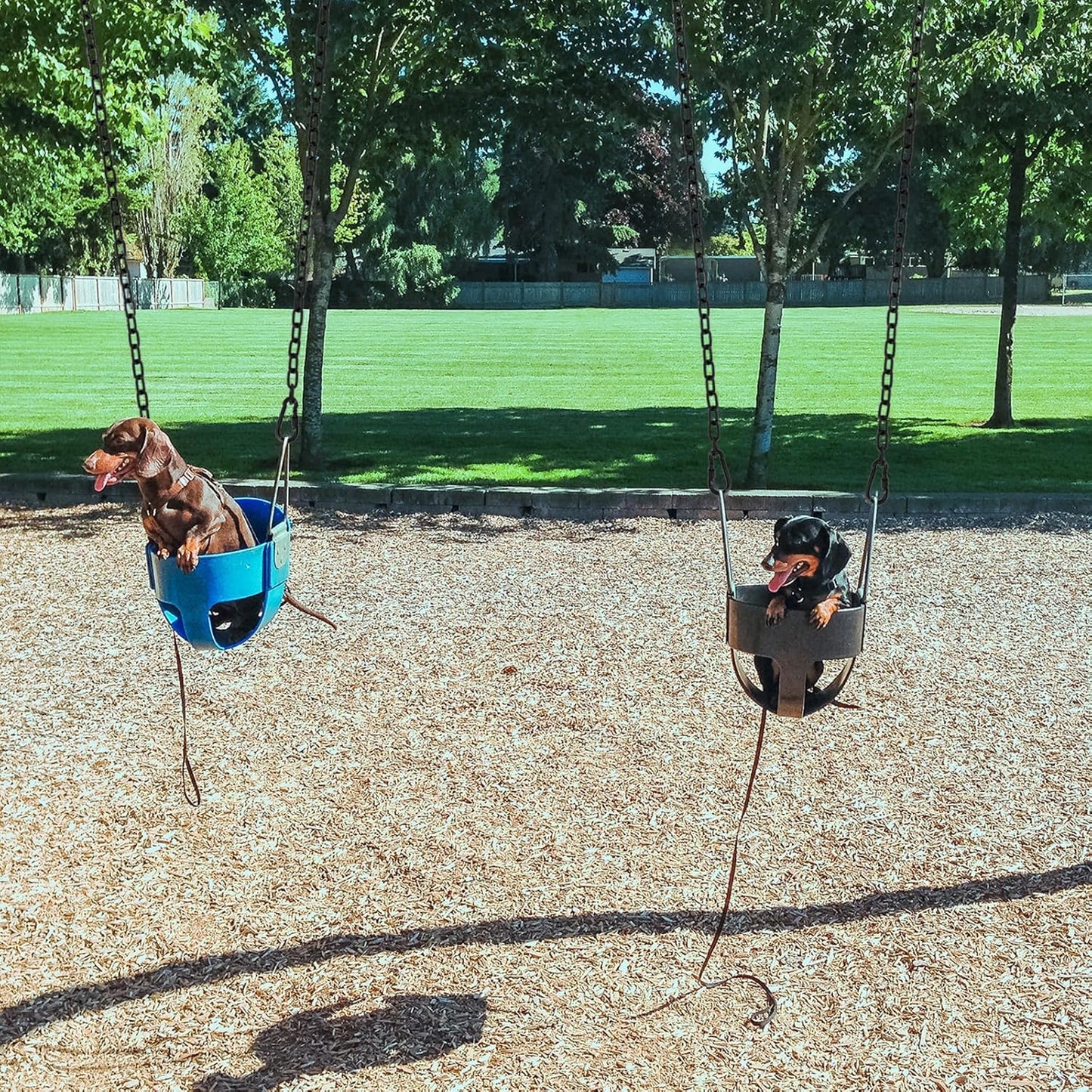 2 Pack 44in Hanging Swing Chain with 4 Carabiners, 660LB Capacity Hanging Kits Heavy Duty Hanging Chair Hardware for Hammock Swing Hanging Chair Punching Bags Sandbag Indoor Outdoor Yoga Gym (Black)