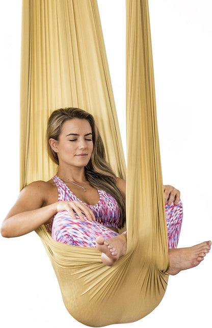 Pinc Active Silk Aerial Yoga Swing & Hammock Kit for Improved Yoga Inversions, Flexibility & Core Strength