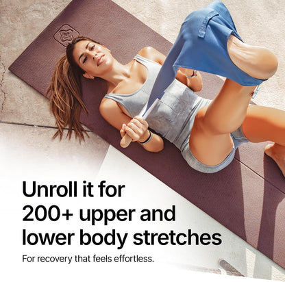 Mobility and Full Body Strengthening Device