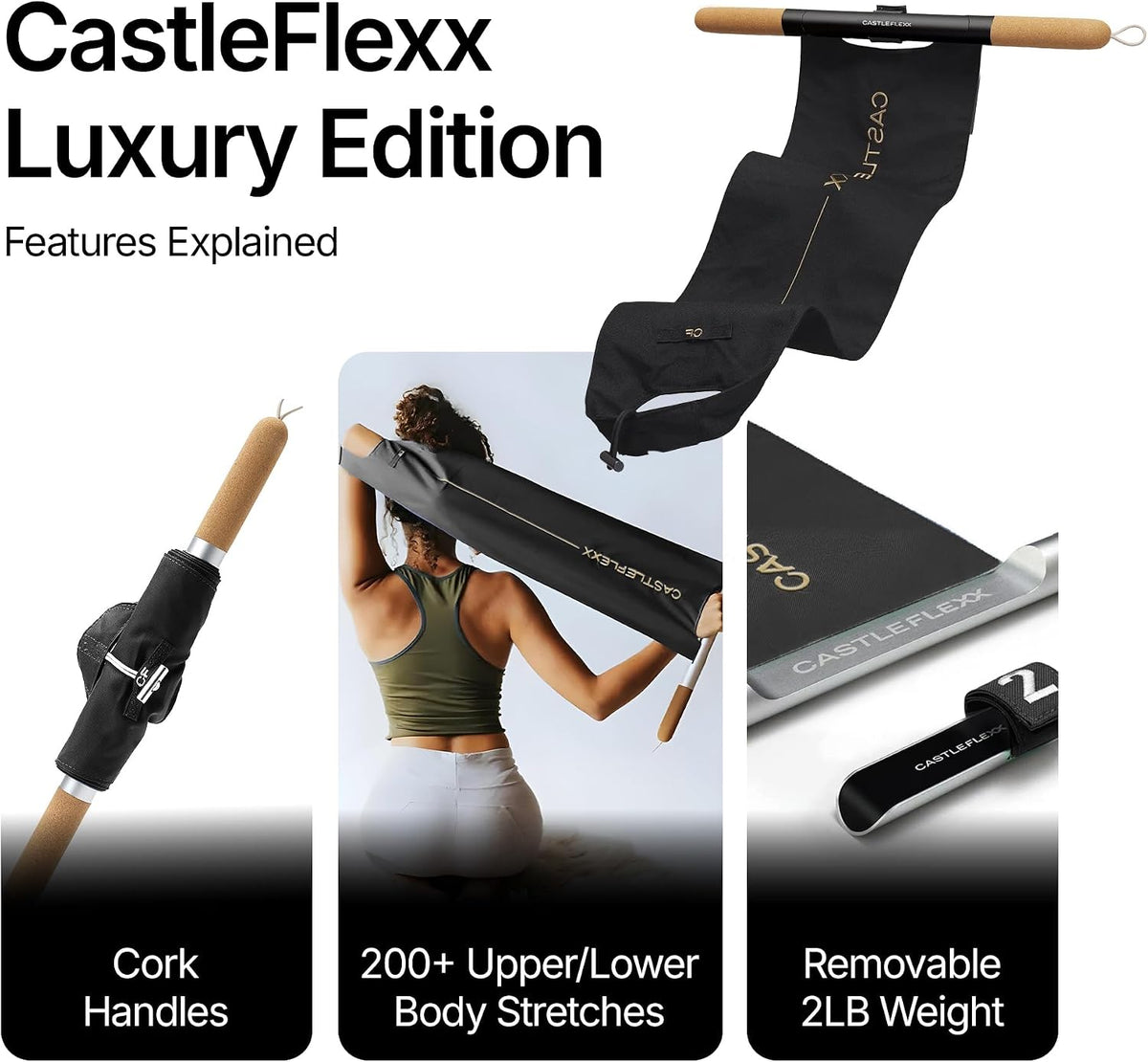 Mobility and Full Body Strengthening Device