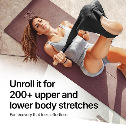 Mobility and Full Body Strengthening Device