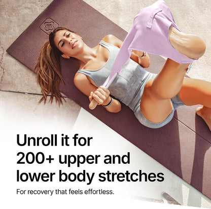 Mobility and Full Body Strengthening Device