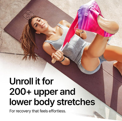 Mobility and Full Body Strengthening Device