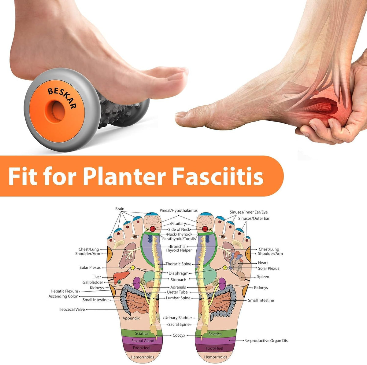 Foot Massager Roller for Plantar Fasciitis Relief