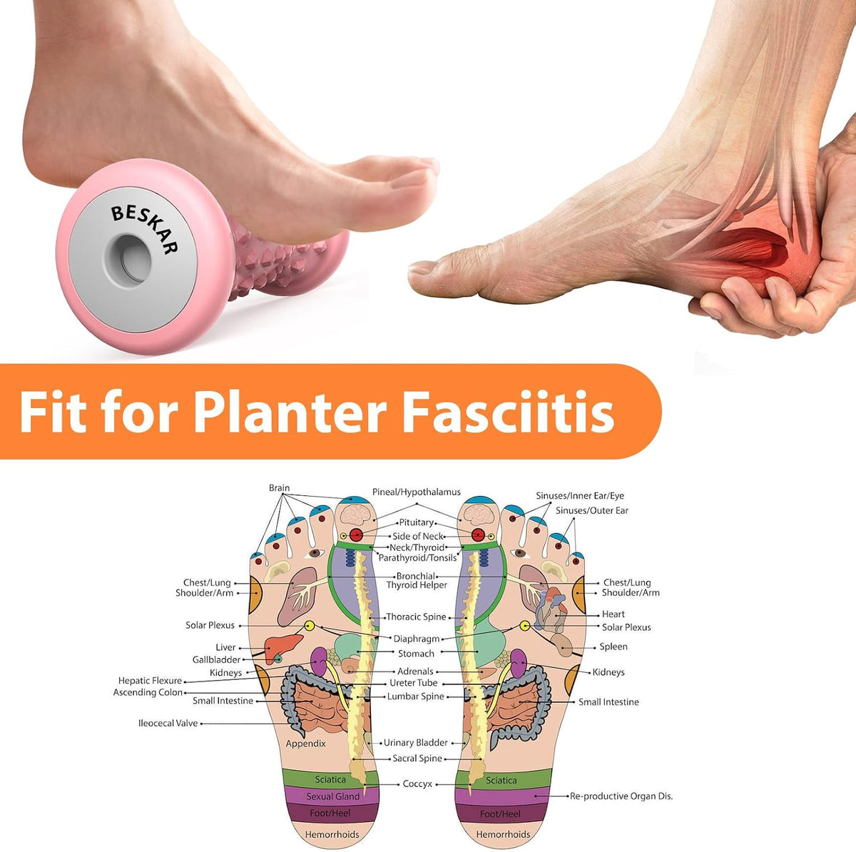 Foot Massager Roller for Plantar Fasciitis Relief