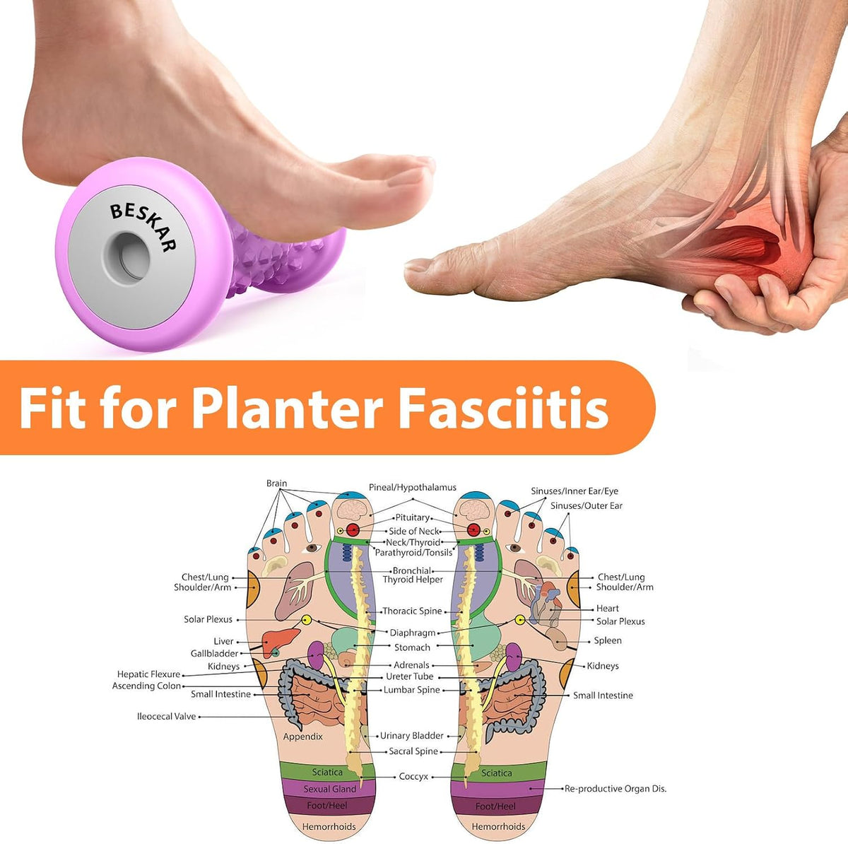 Foot Massager Roller for Plantar Fasciitis Relief