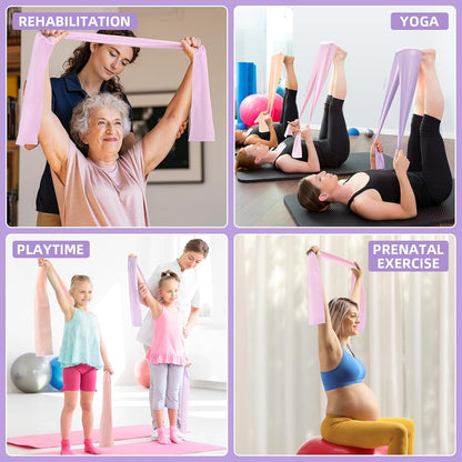 Stretch Bands for Exercise, Resistance Bands for Working Out, Exercise Bands for Physical Therapy, Pilates, Rehab, Stretch, Strength Training and Yoga Starter Set