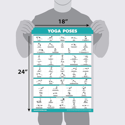 4 Pack - Yoga Poses Poster Volume 1, 2 & 3 + Yoga Positions with Yoga Blocks - Beginner Yoga Position Exercise Charts - English and Sanskrit Names
