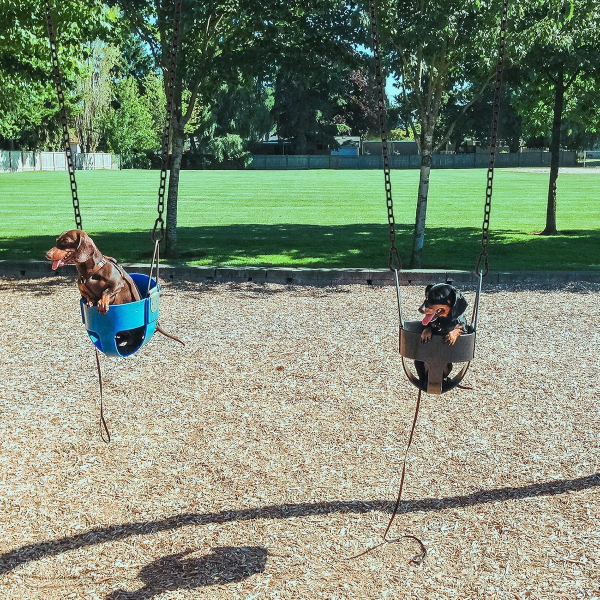 44in Hanging Swing Chain with 4 Carabiners, 660LB Capacity Hanging Kits Heavy Duty Hanging Chair Hardware for Hammock Swing Hanging Chair Punching Bags Sandbag Indoor Outdoor Yoga Gym (Black)