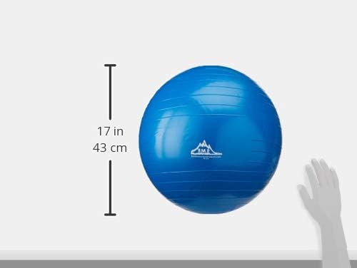 Exercise Stability Yoga Ball, Foot Pump, Ball Plug, Plug Puller, 2000 Lbs Static Weight Capacity Antiburst