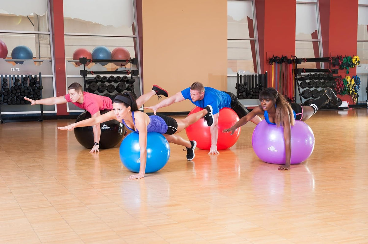 Exercise Stability Yoga Ball, Foot Pump, Ball Plug, Plug Puller, 2000 Lbs Static Weight Capacity Antiburst