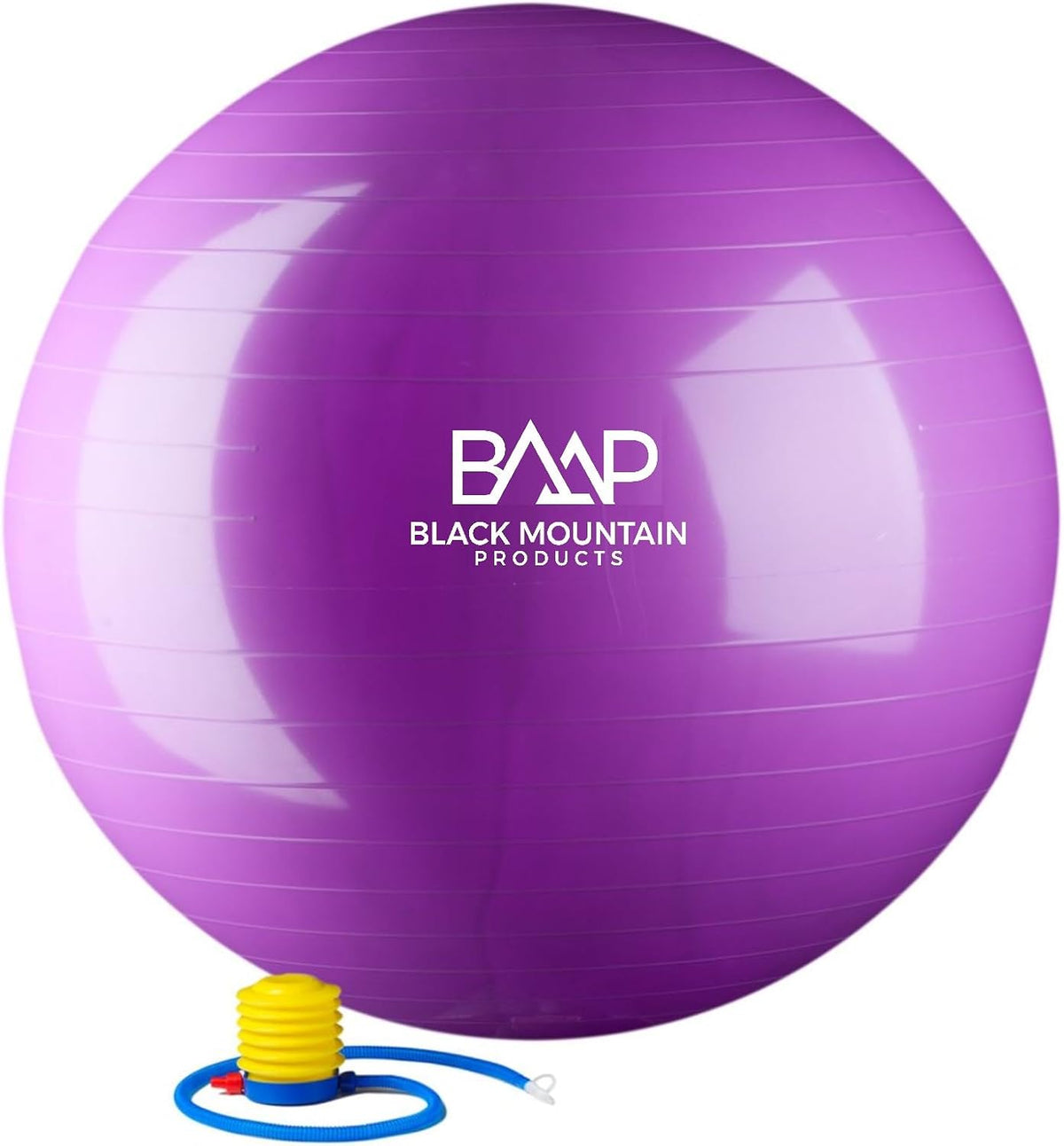 Exercise Stability Yoga Ball, Foot Pump, Ball Plug, Plug Puller, 2000 Lbs Static Weight Capacity Antiburst