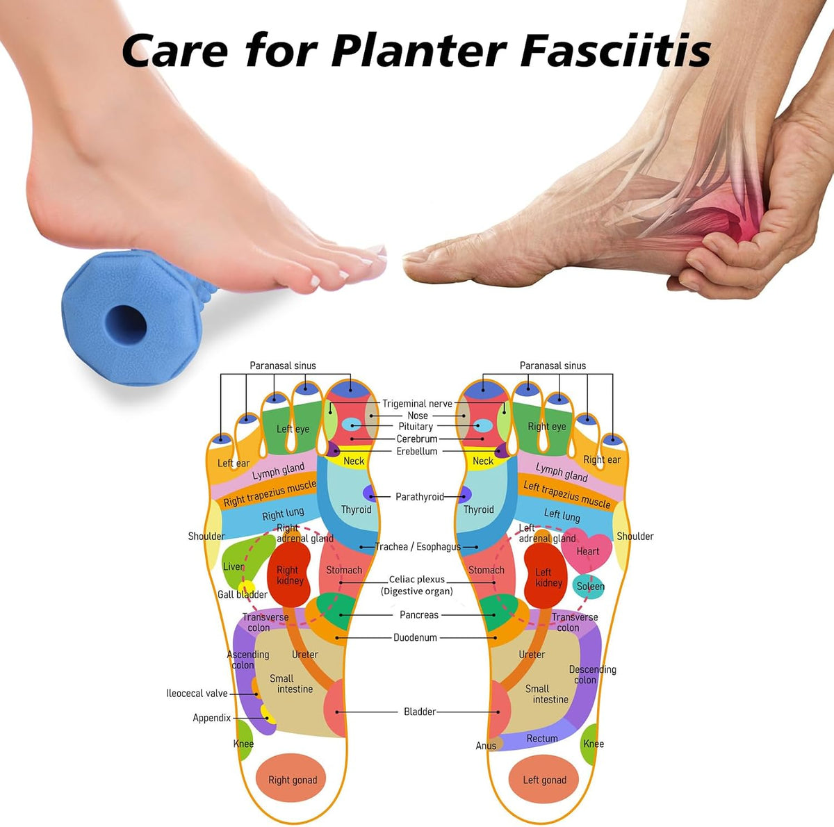 Foot Massager Roller for Plantar Fasciitis, Arch Heel Pain Relief