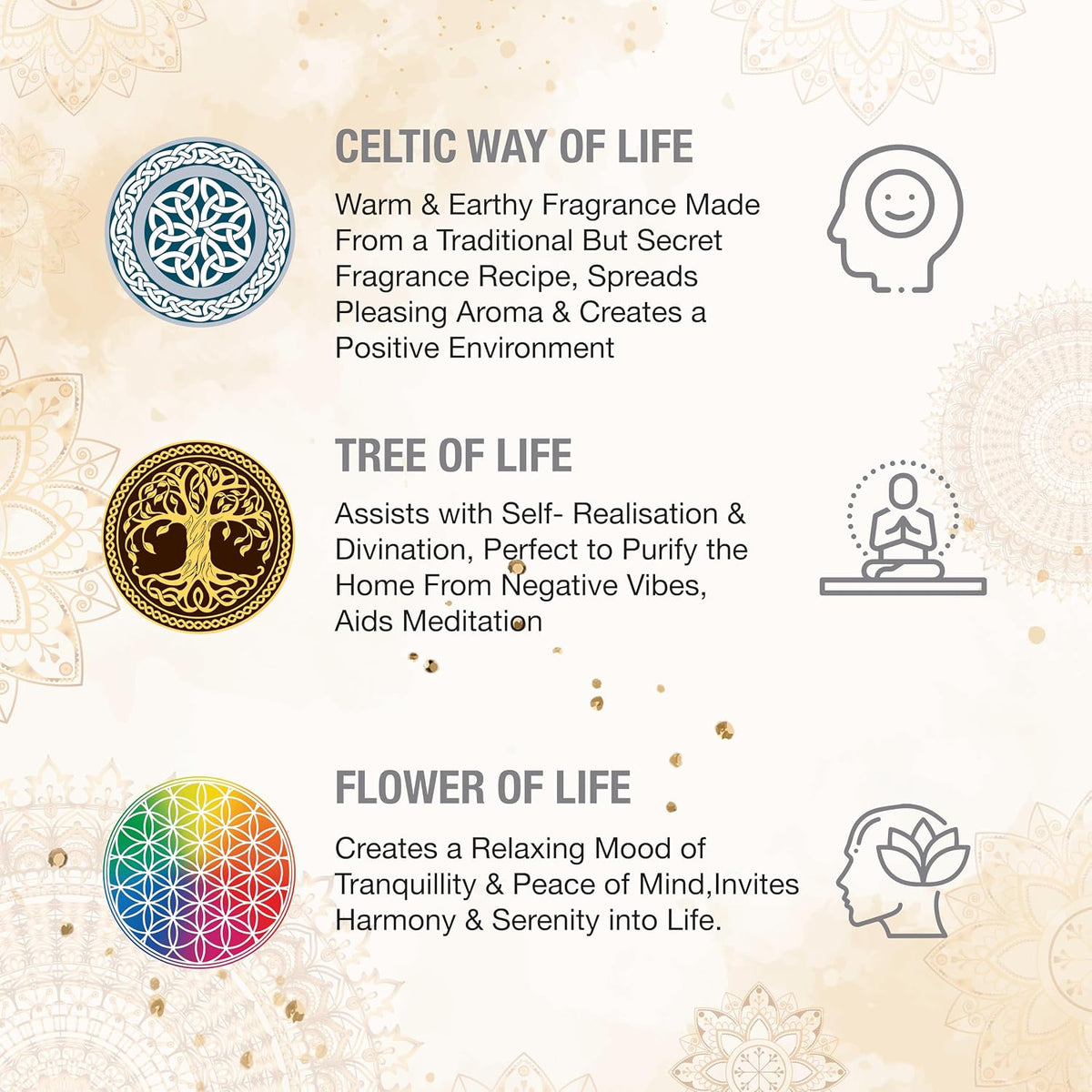 Incense Sticks – 12 Box Variety Pack (240 Sticks Total, 20 Sticks per Box) | Long Lasting Fragrance | Meditation, Relaxation, Yoga, Aromatherapy & Home Fragrance