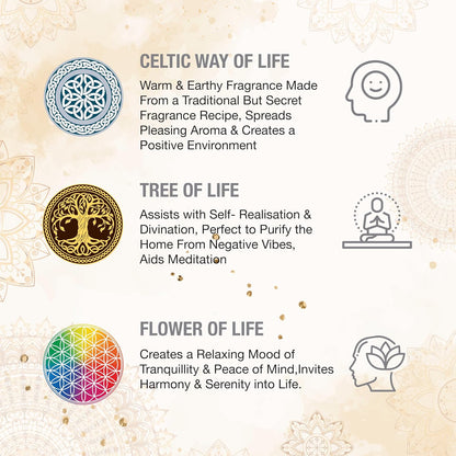 Incense Sticks – 12 Box Variety Pack (240 Sticks Total, 20 Sticks per Box) | Long Lasting Fragrance | Meditation, Relaxation, Yoga, Aromatherapy & Home Fragrance