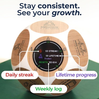 Focused Activity Timer & Tracker | Promotes Work Life Balance & Productivity | Pomodoro 'Plus' w/ 5 Fixed timers + 5 curated Wellness Activities | Office Desk Accessory | Mindfulness | ADHD