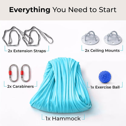 Aerial Yoga Hammock 5.5 Yards (198 Inches) – Premium Aerial Silk Swing for Antigravity Fitness, Inversion Therapy, Strength & Flexibility | Purple | Yoga Trapeze for Home & Studio