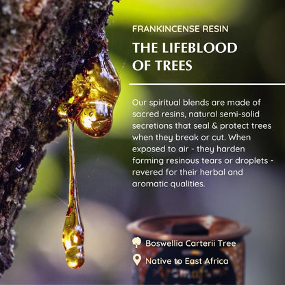 Frankincense Smokeless Incense Bricks & Tree of Life Burner