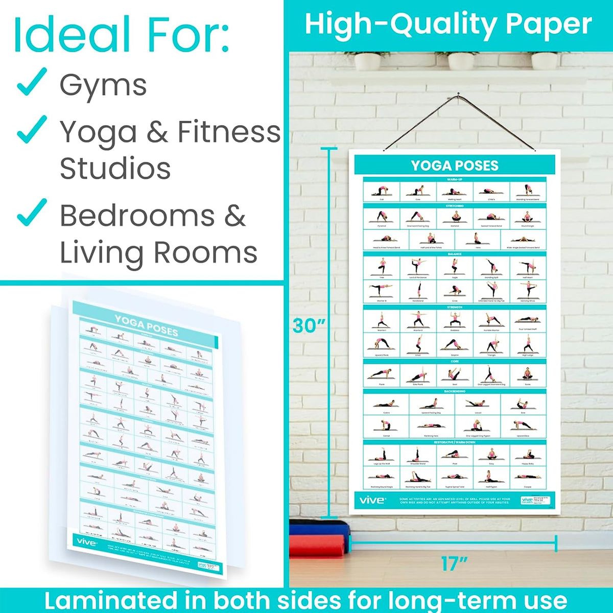 Yoga Poster - Poses for Beginners and Experts - Mat Exercise Home Gym