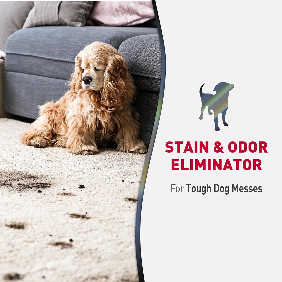 Advanced Dog Stain & Odor Eliminator, Severe Mess, 32 oz