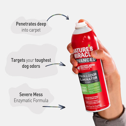 Advanced Dog Stain & Odor Eliminator, Severe Mess, 32 oz
