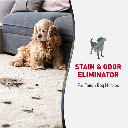Advanced Dog Stain & Odor Eliminator, Severe Mess, 32 oz