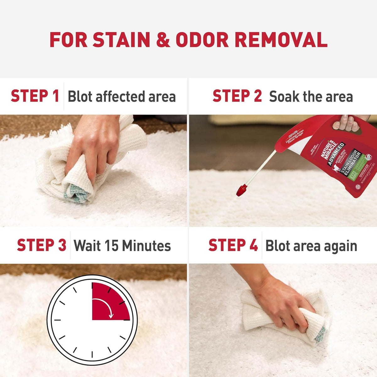 Advanced Dog Stain & Odor Eliminator, Severe Mess, 32 oz