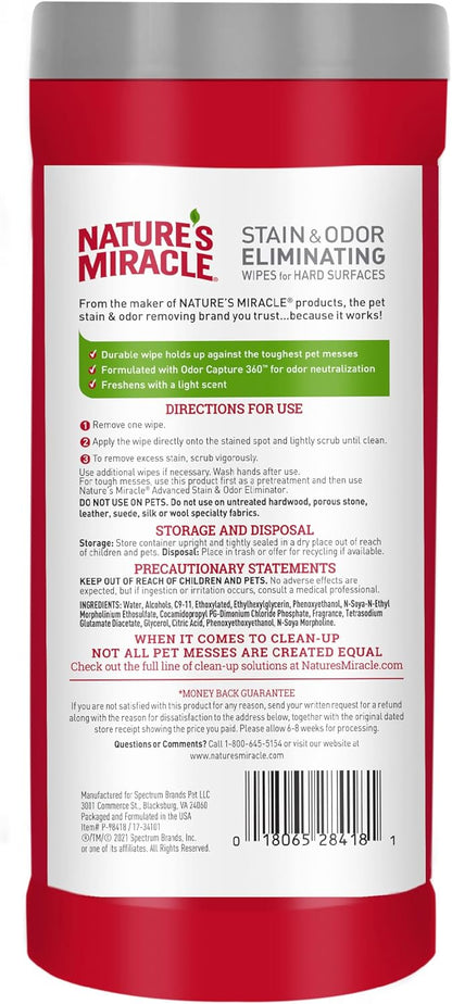 Advanced Dog Stain & Odor Eliminator, Severe Mess, 32 oz