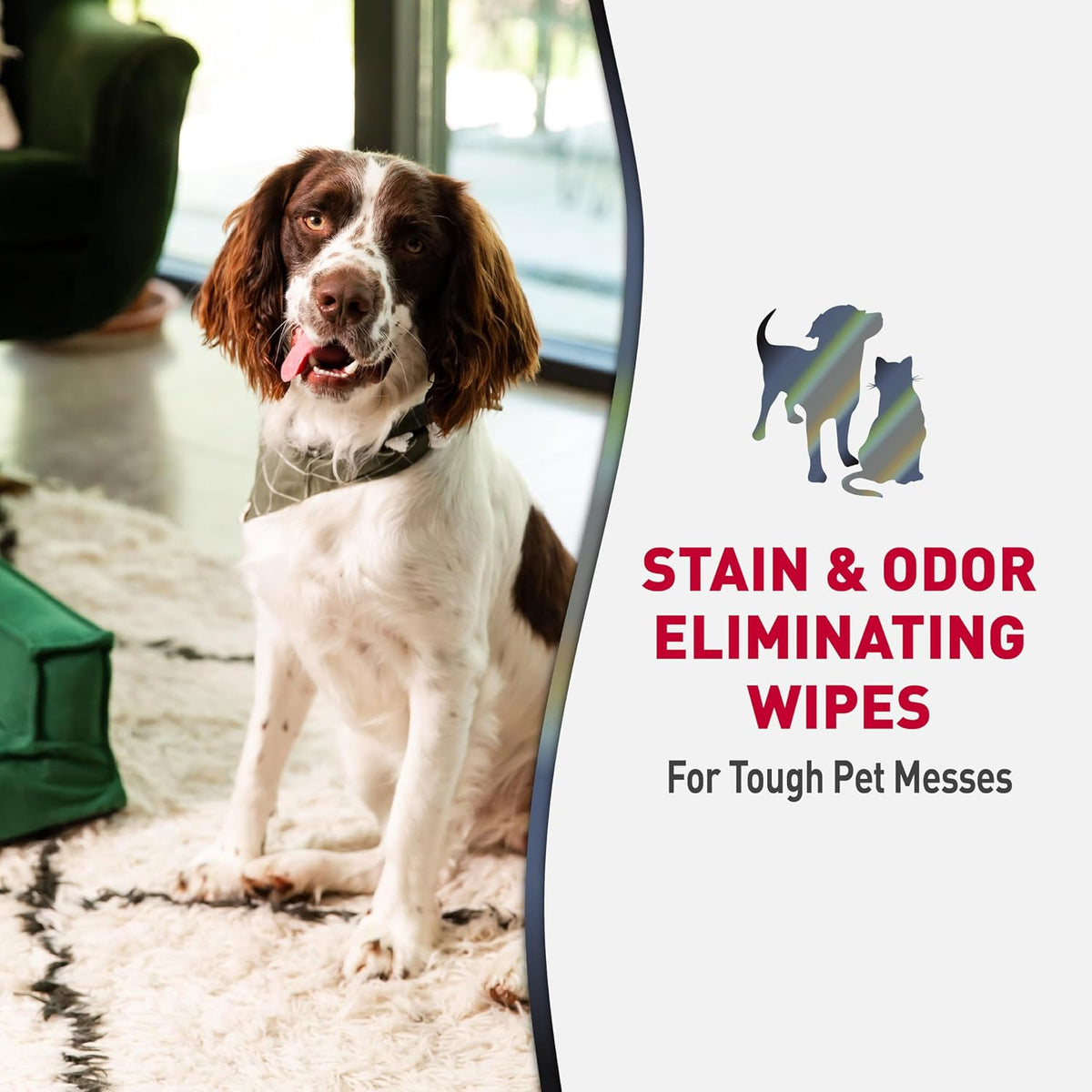 Advanced Dog Stain & Odor Eliminator, Severe Mess, 32 oz