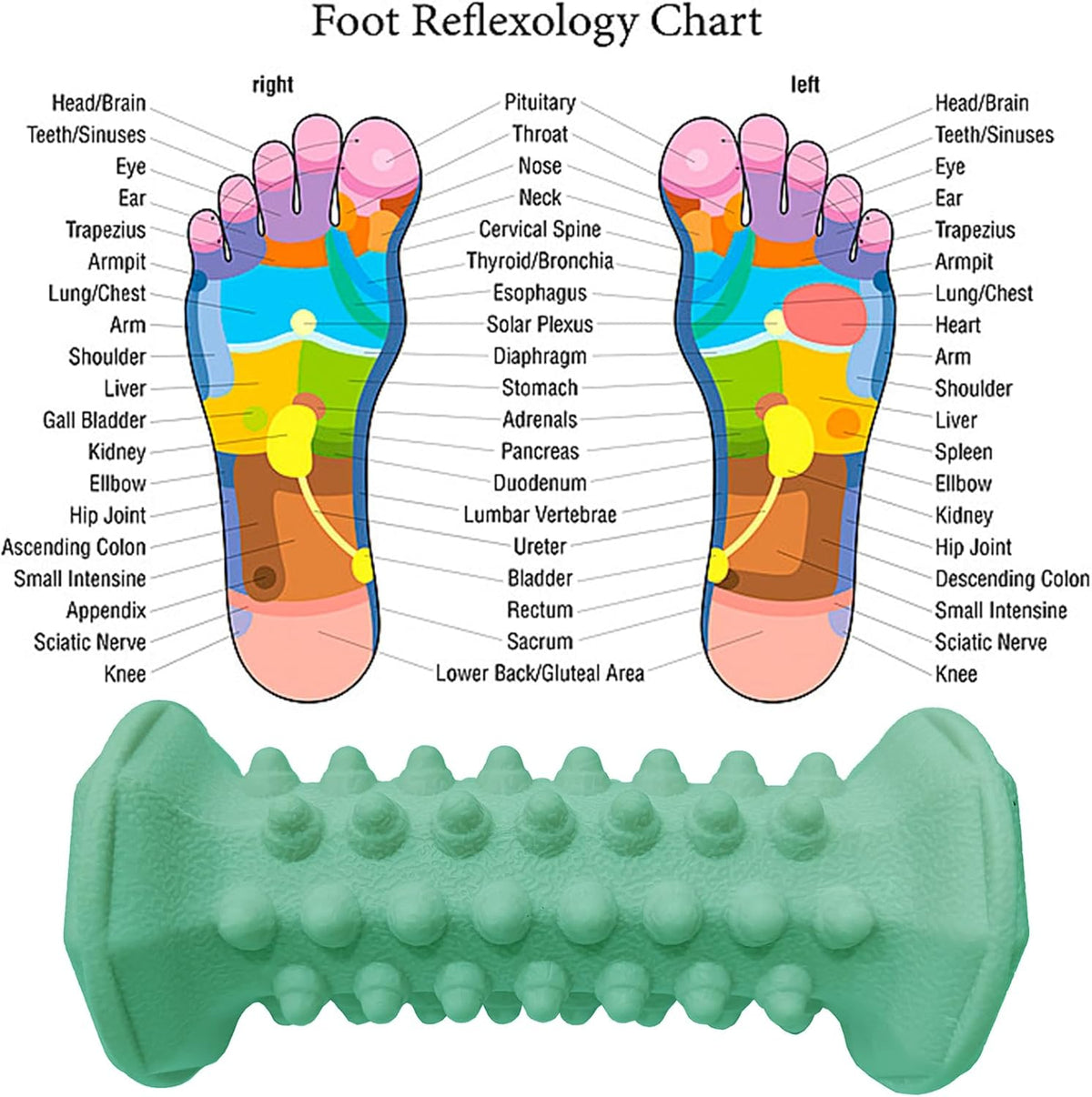 Foot Massage Ball Myofascial Release, Pain Relieve from Plantar Fasciitis
