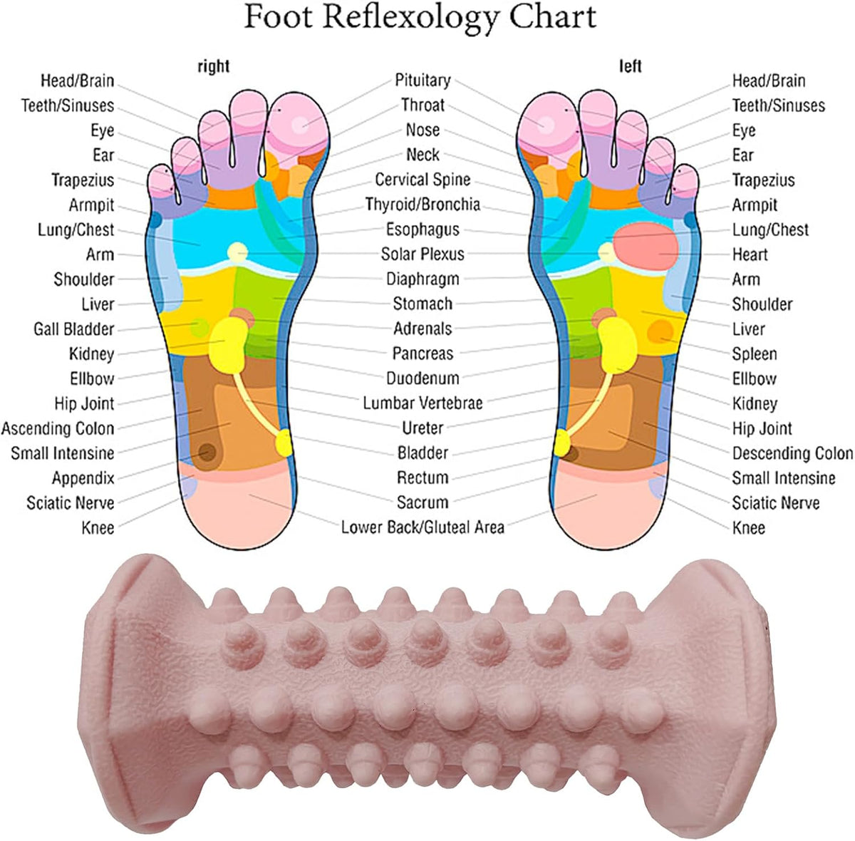 Foot Massage Ball Myofascial Release, Pain Relieve from Plantar Fasciitis