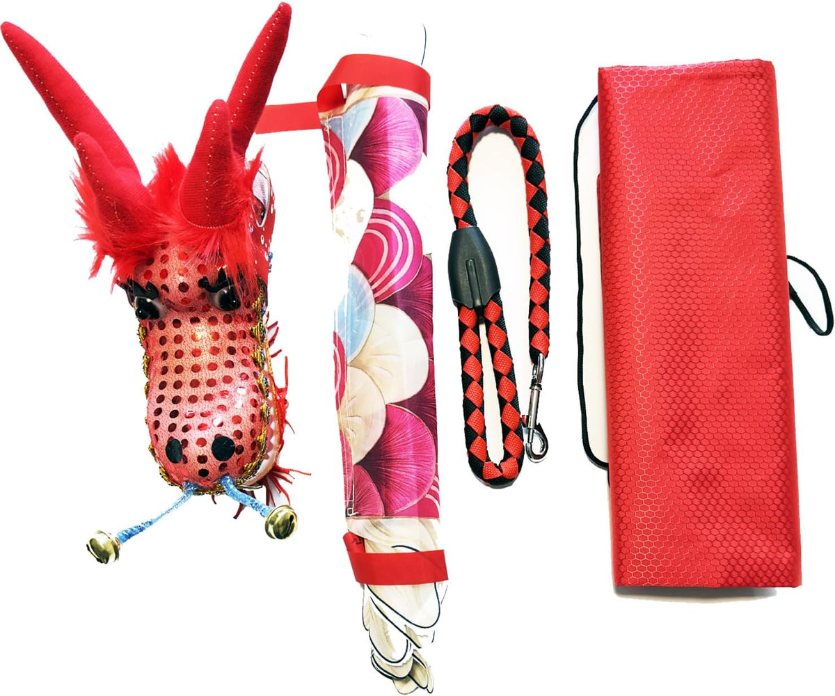 9.8 FT Pink Magic Cloud Dragon Ribbon Poi, 3 Meters Outdoor Dragon Dance Washable Pink Dragon Scale Pattern Ribbon Streamer with 200g 3D Plastic Dragon Head, Swing Rope and Oxford Travel bag Set