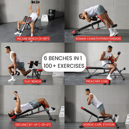 Multi-Functional Adjustable FID Weight Bench and Roman Chair