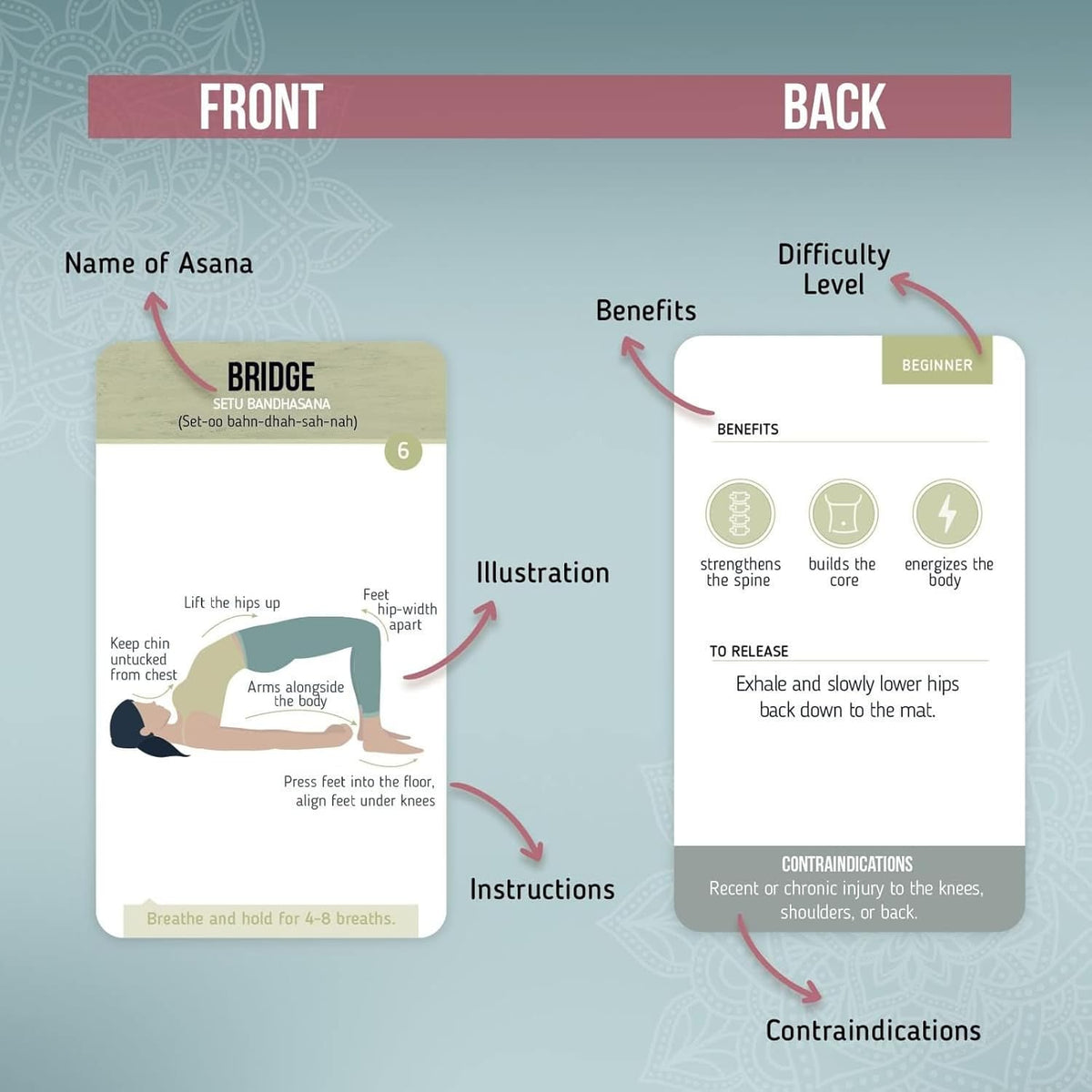 Yoga Cards Flashcard Deck - 50 Plastic Cards, One Size - 45 Asanas & Sanskrit Names - Yoga Gifts for Women