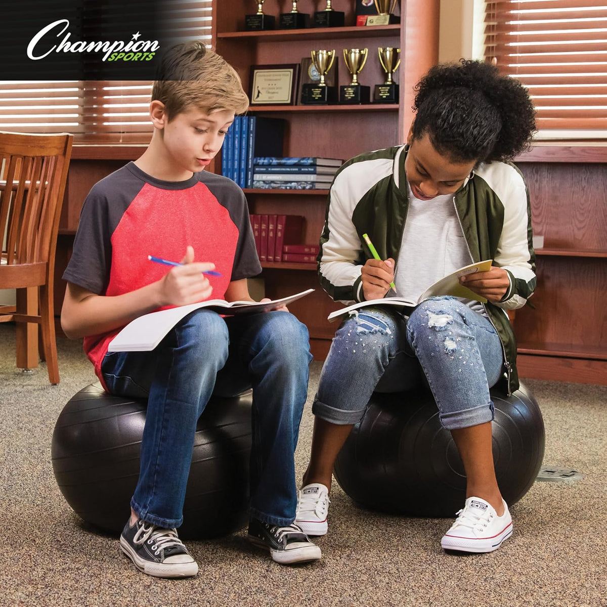 Exercise Ball Chair: FitPro Balance Ball Chair with Wheels and Back Support for Home or Office Use - Includes Hand Pump - Black