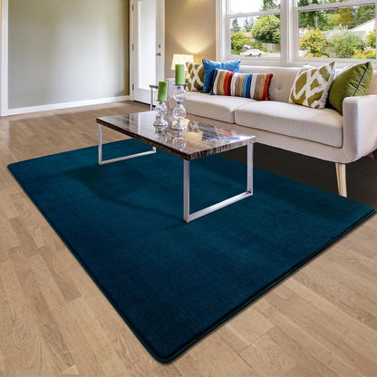 Shag Living Room Area Rug, 6x9 Black Washable Fuzzy Bedroom Rugs, Soft Fluffy Indoor Carpets for Dorm Boys Girls Kids Room Nursery Home Decorations