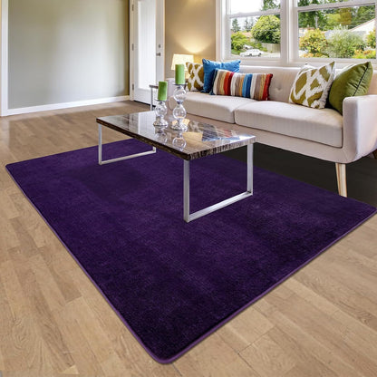 Shag Living Room Area Rug, 6x9 Black Washable Fuzzy Bedroom Rugs, Soft Fluffy Indoor Carpets for Dorm Boys Girls Kids Room Nursery Home Decorations