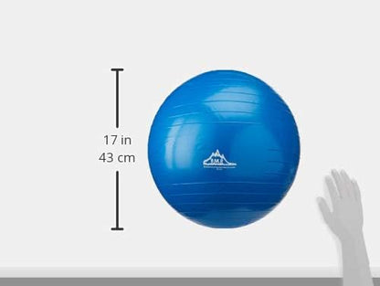 Exercise Stability Yoga Ball, Foot Pump, Ball Plug, Plug Puller, 2000 Lbs Static Weight Capacity Antiburst