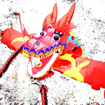 16.4 FT (5 Meters) Golden Red Dragon Poi with 3D Dragon Head & Swing Rope Combo for Beginners, Lightweight Flowy Dragon Ribbon Streamer Outdoor Fitness Stage Prop Set